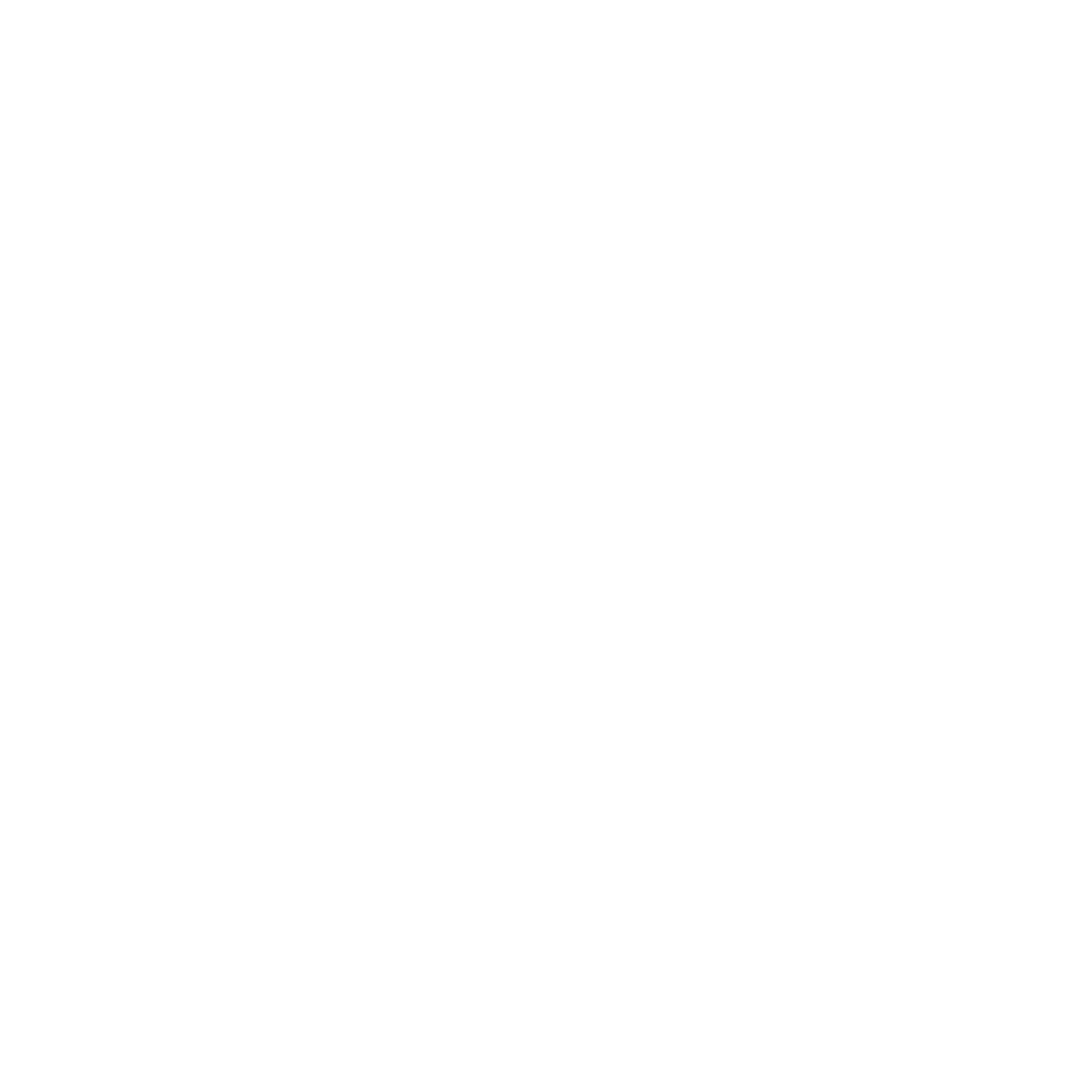 paltuu logo